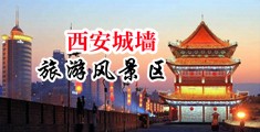 8x8x在线观看18岁战长中国陕西-西安城墙旅游风景区